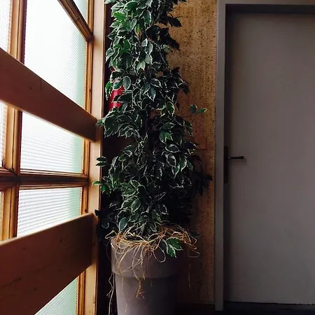 ホテル Meuble La Perla 2*