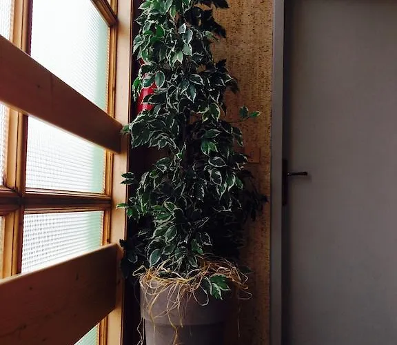 Hotel Meuble La Perla 2*